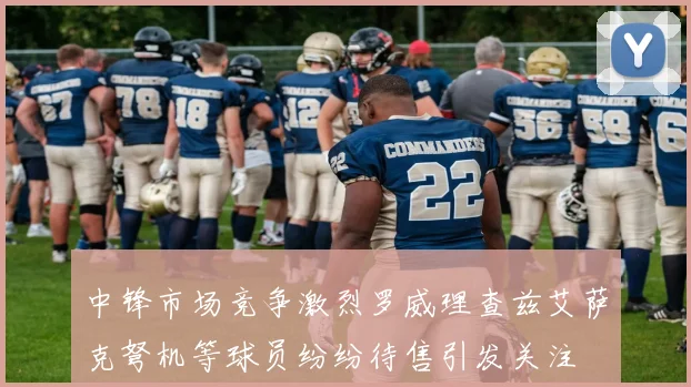中锋市场竞争激烈罗威理查兹艾萨克弩机等球员纷纷待售引发关注